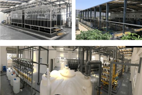 全國煤炭與煤化工環(huán)境治理及保護大會暨生物化工產品技術研發(fā)研討會預通知