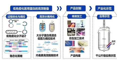 西北大學(xué)獲批3項(xiàng)國(guó)家重點(diǎn)研發(fā)計(jì)劃，聚焦生物化工產(chǎn)品技術(shù)研發(fā)新突破