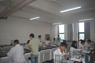 輕工化工系工業(yè)分析與檢驗(yàn)技能大賽決賽圓滿落幕，展現(xiàn)生物化工產(chǎn)品技術(shù)研發(fā)新風(fēng)采