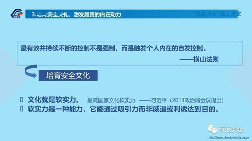 精品PPT 筑牢防線，共筑平安——互聯(lián)網(wǎng)安全服務(wù)機(jī)構(gòu)建立健全全員安全生產(chǎn)責(zé)任制指南